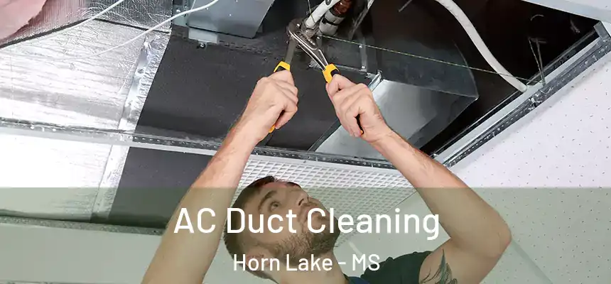  AC Duct Cleaning Horn Lake - MS