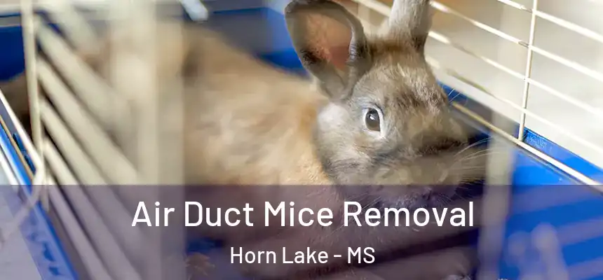 Air Duct Mice Removal Horn Lake - MS