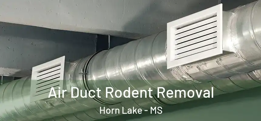  Air Duct Rodent Removal Horn Lake - MS