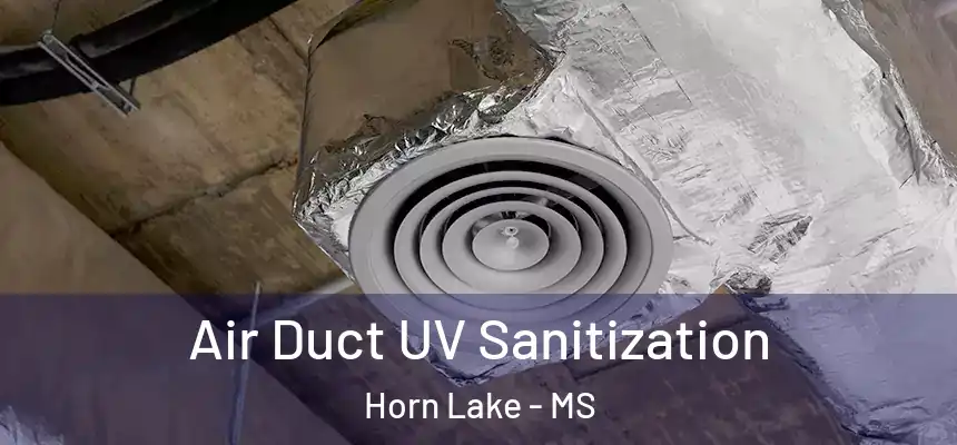  Air Duct UV Sanitization Horn Lake - MS