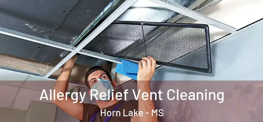  Allergy Relief Vent Cleaning Horn Lake - MS