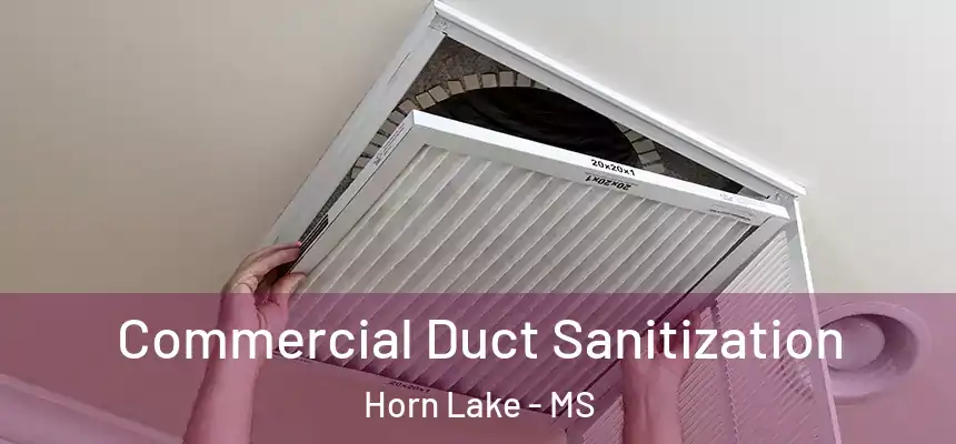 Commercial Duct Sanitization Horn Lake - MS