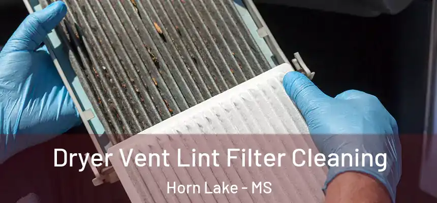  Dryer Vent Lint Filter Cleaning Horn Lake - MS