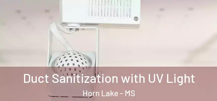 Duct Sanitization with UV Light Horn Lake - MS