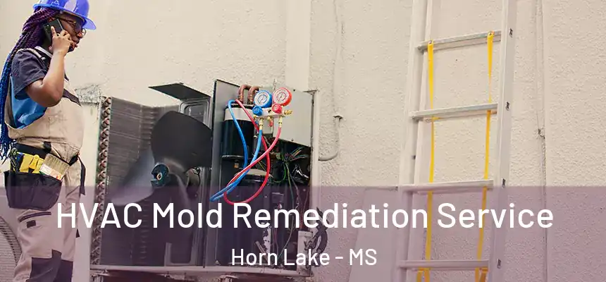 HVAC Mold Remediation Service Horn Lake - MS