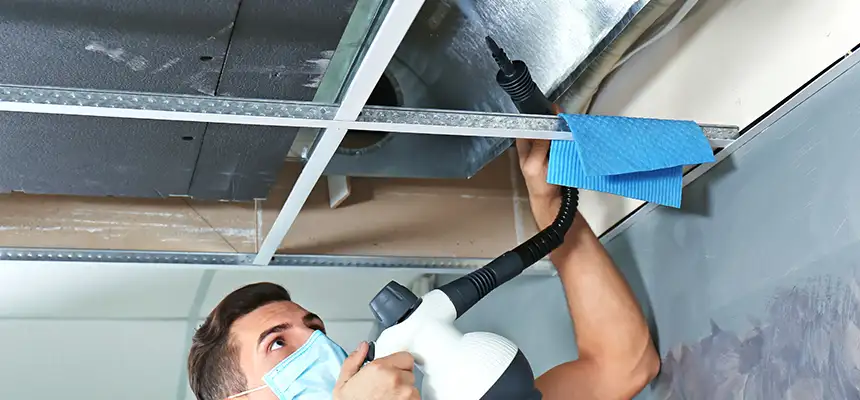 Our Air Duct Rodent Removal Services in Horn Lake, MS