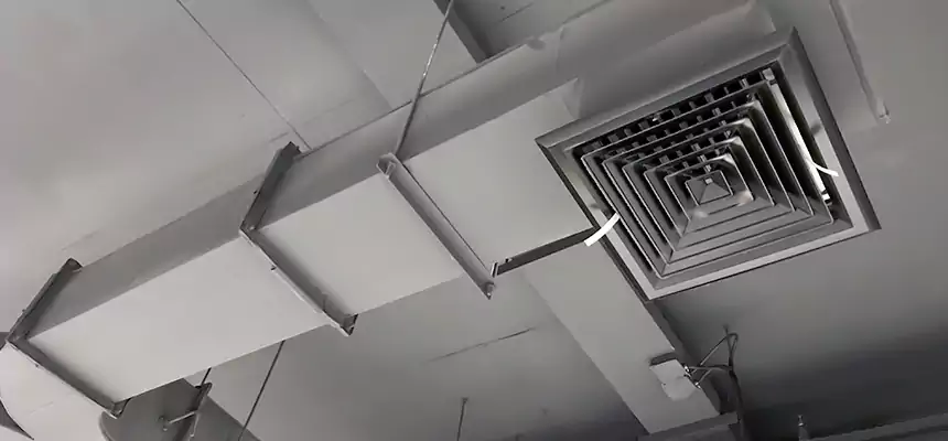 Restorative Allergy Relief Vent Cleaning – Coil, Blower & Housing Detail in Horn Lake