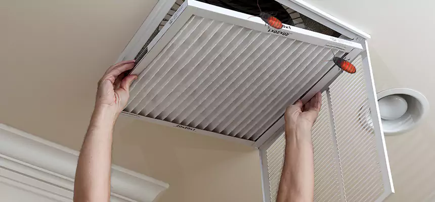 Our Insect Removal from Air Ducts Services in Horn Lake, MS