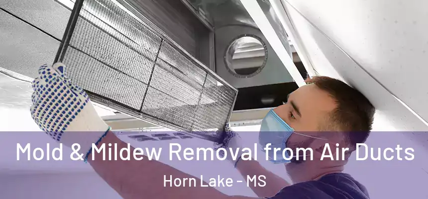  Mold & Mildew Removal from Air Ducts Horn Lake - MS