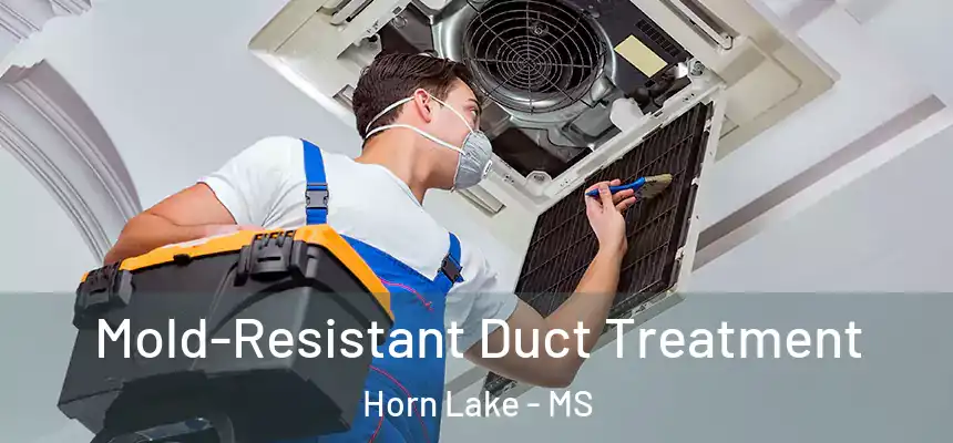 Mold-Resistant Duct Treatment Horn Lake - MS