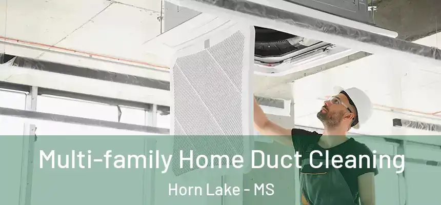 Multi-family Home Duct Cleaning Horn Lake - MS
