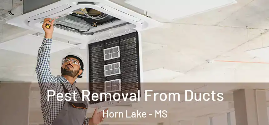  Pest Removal From Ducts Horn Lake - MS