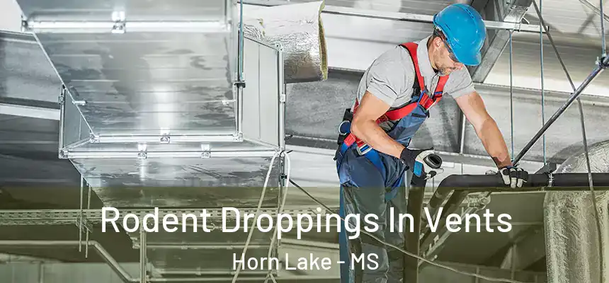  Rodent Droppings In Vents Horn Lake - MS