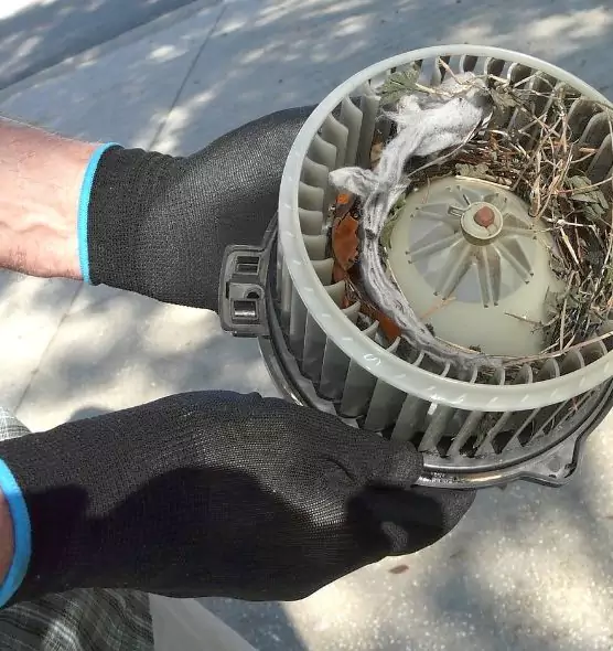 About Air Duct Rat Removal in Horn Lake, MS