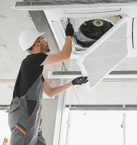 About Air Duct Rodent Removal in Horn Lake, MS