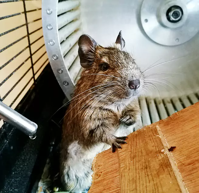 Why Homeowners & Businesses Trust Us Horn Lake, MS?