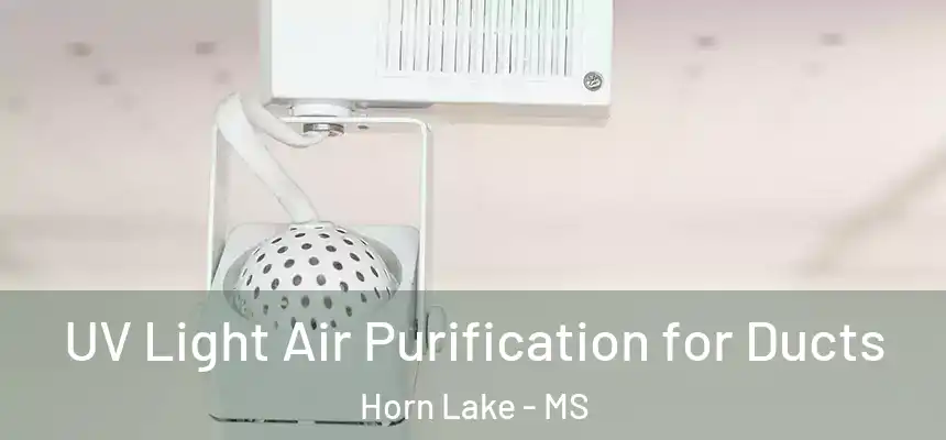  UV Light Air Purification for Ducts Horn Lake - MS