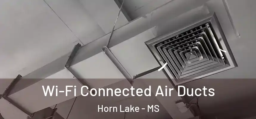 Wi-Fi Connected Air Ducts Horn Lake - MS
